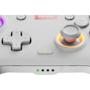 PDP-Afterglow-Wave-Wit-Gamepad-Analoog-digitaal-Nintendo-Switch-Nintendo-Switch-OLED