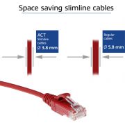 Voorbeeld afbeelding 2