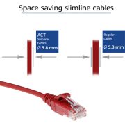 Voorbeeld afbeelding 2