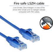 Voorbeeld afbeelding 6