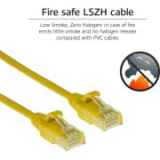 Voorbeeld afbeelding 6