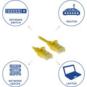 Voorbeeld afbeelding 5