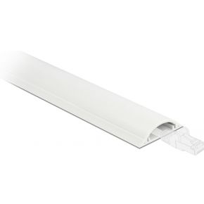 Delock 20705 Kabelgoot zelfklevend 50 x 12 mm - lengte 1 m wit