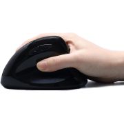 Voorbeeld afbeelding 4