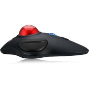 Voorbeeld afbeelding 3