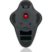 Voorbeeld afbeelding 4