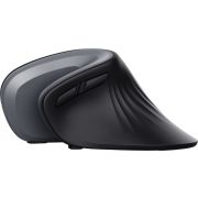 Voorbeeld afbeelding 3