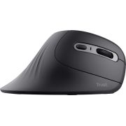 Voorbeeld afbeelding 4