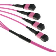 Voorbeeld afbeelding 2