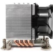 Voorbeeld afbeelding 4