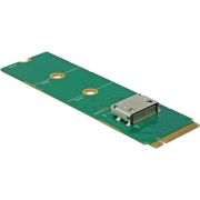 Delock 64040 M.2 sleutel M naar 1 x OCuLink SFF-8612 converter