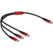 DeLOCK 86712 laadkabel USB-kabel 0,3 m USB 2.0 USB C --> 3 x USB C Zwart, Rood