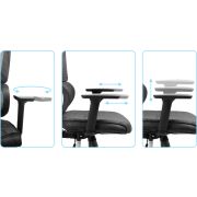 Voorbeeld afbeelding 6