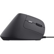 Voorbeeld afbeelding 4