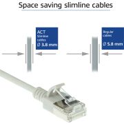 Voorbeeld afbeelding 2