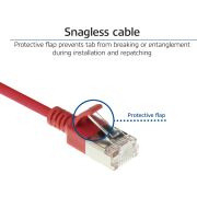 Voorbeeld afbeelding 4