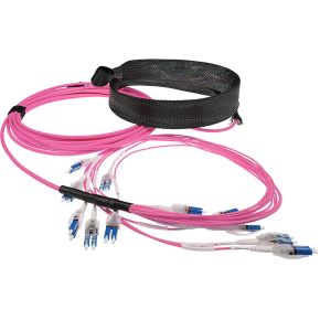 ACT 25 meter Multimode 50/125 OM4 glasvezel prefabkabel 24F LC Polarity Twist