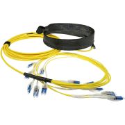 Voorbeeld afbeelding 1