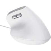 Voorbeeld afbeelding 5