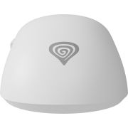 Voorbeeld afbeelding 6