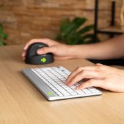 Voorbeeld afbeelding 2