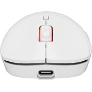 Voorbeeld afbeelding 4