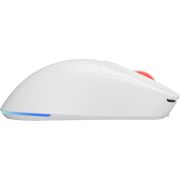 Voorbeeld afbeelding 6