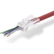 Voorbeeld afbeelding 2