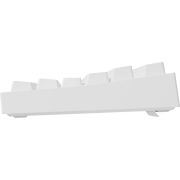 Voorbeeld afbeelding 5