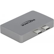 DeLOCK 64001 USB grafische adapter 3840 x 2160 Pixels Grijs