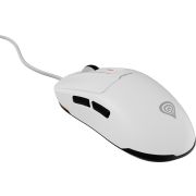 Voorbeeld afbeelding 2