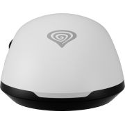 Voorbeeld afbeelding 5