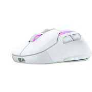 Voorbeeld afbeelding 2