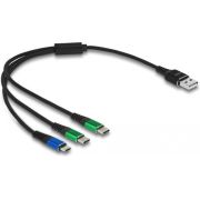 DeLOCK 87883 USB-kabel USB 2.0 0,3 m Micro-USB B 2 x USB C Zwart, Blauw, Groen