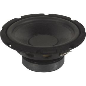 Hr Zwarte Subwoofer Voor Luidspreker 65 250W hr kopen in de aanbieding