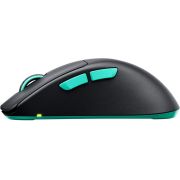 Voorbeeld afbeelding 1