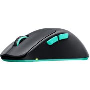 Voorbeeld afbeelding 2