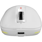 Voorbeeld afbeelding 9