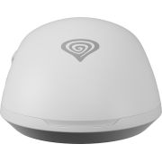 Voorbeeld afbeelding 10