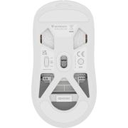 Voorbeeld afbeelding 2