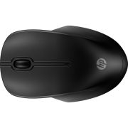 Voorbeeld afbeelding 4