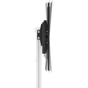 Voorbeeld afbeelding 3