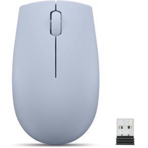 Lenovo 300 muis Kantoor Ambidextrous RF Draadloos Optisch 1000 DPI