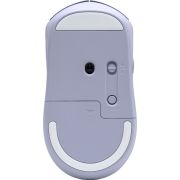 Voorbeeld afbeelding 4