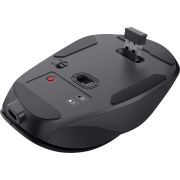 Voorbeeld afbeelding 4