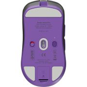 Voorbeeld afbeelding 5