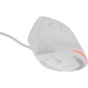 Voorbeeld afbeelding 10