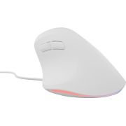 Voorbeeld afbeelding 1