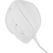 Voorbeeld afbeelding 2