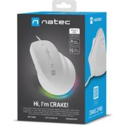 Voorbeeld afbeelding 5